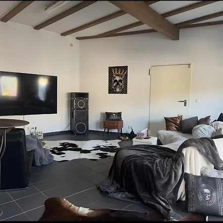 Deluxe Loft Hegau Bodensee Appartement Hilzingen