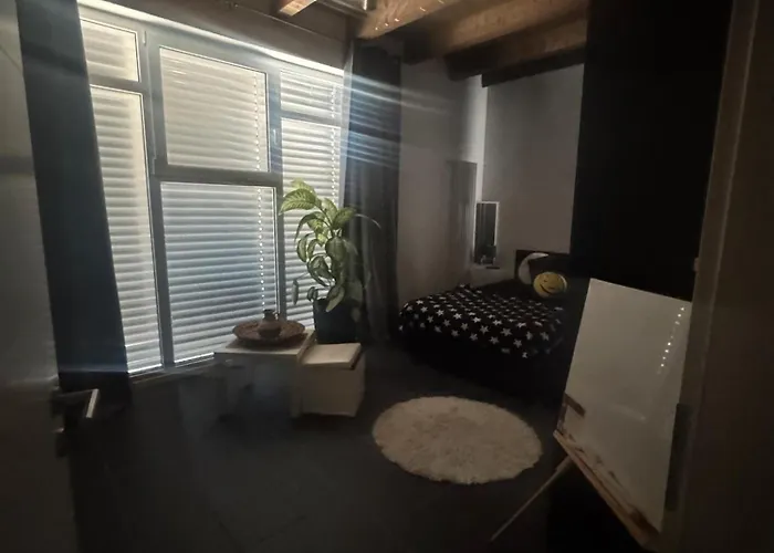 Appartement Deluxe Loft Hegau Bodensee *